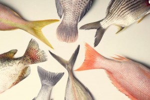 El pescado reduce el dolor y la inflamación asociados a la artritis reumatoide