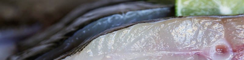 Los valores nutricionales del pescado blanco