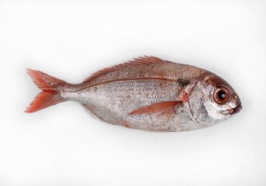 ¿Sabías qué comer pescado reduce el riesgo de mortalidad cardiovascular?