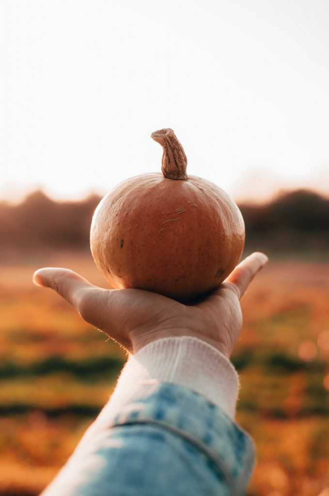 Alimentos-otoño