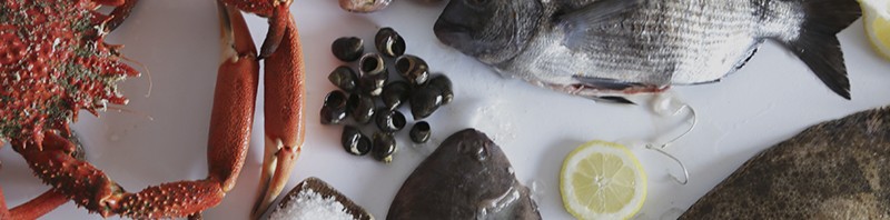 Alimentación equilibrada con pescado y marisco online