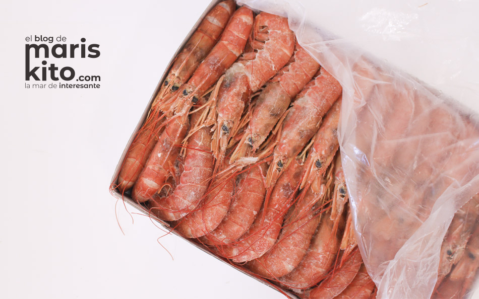 Congelar marisco Navidades