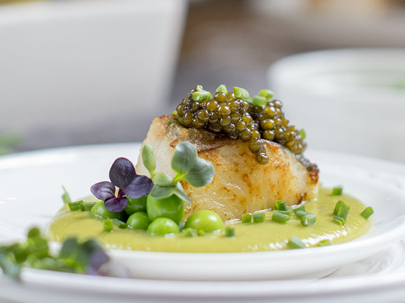 Merluza con Caviar del Tíbet y crema de guisantes