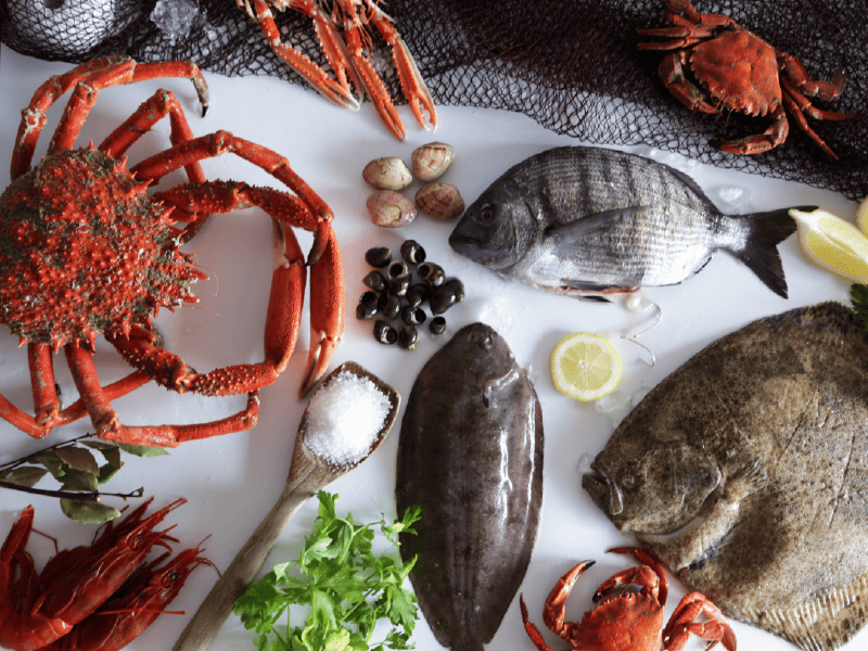 Pescados y mariscos, protagonistas de la dieta mediterránea