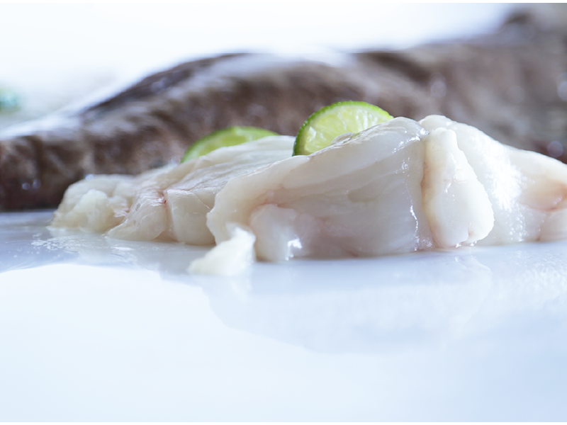 Rape negro, también conocido como pixín o peixe sapo.