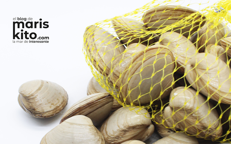 Almejas, ricas en nutrientes y con un sabor exquisito