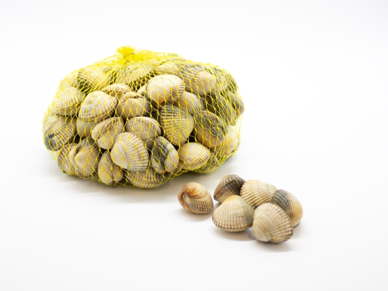 Berberecho (Cerastoderme edule)