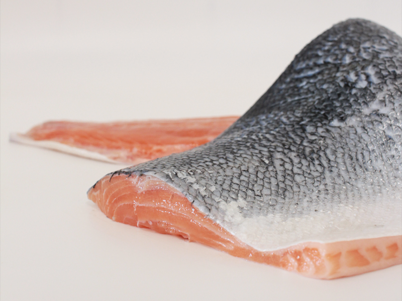 Salmón (Salmo salar)