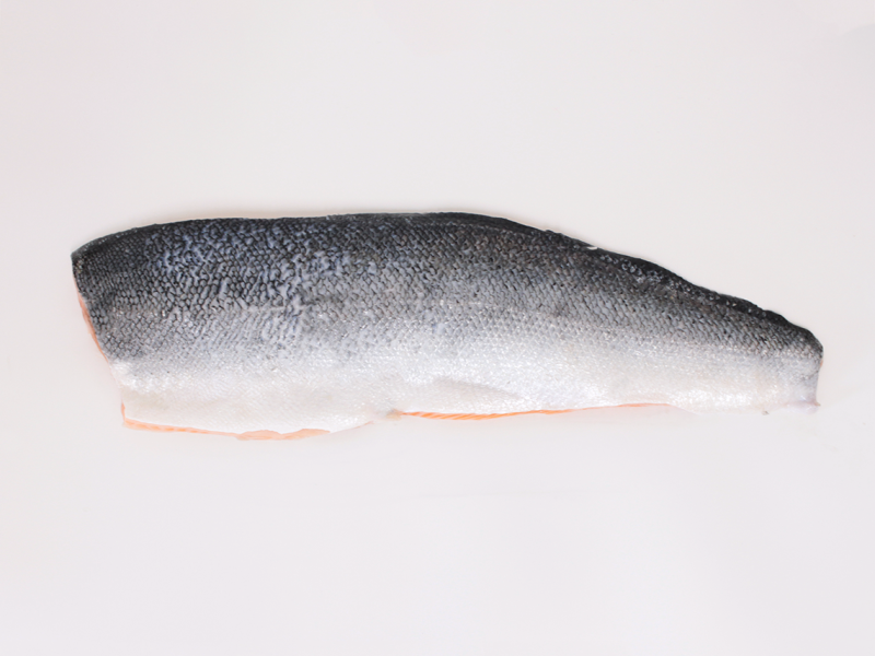 Salmón (Salmo salar)