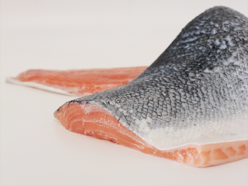 Salmón (Salmo salar)