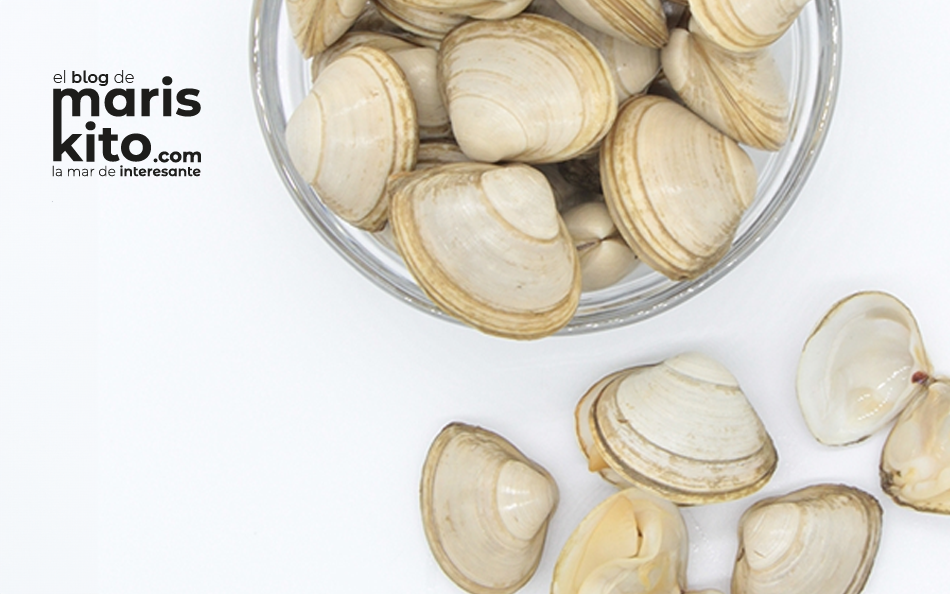Almeja blanca gallega: sabor suave, textura perfecta y origen artesanal