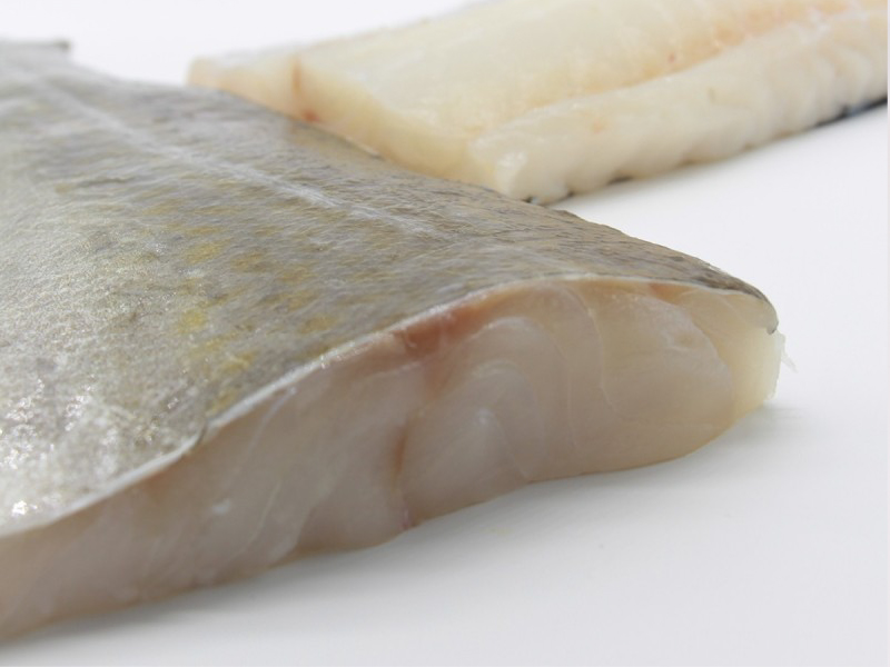 Bacalao del Atlántico