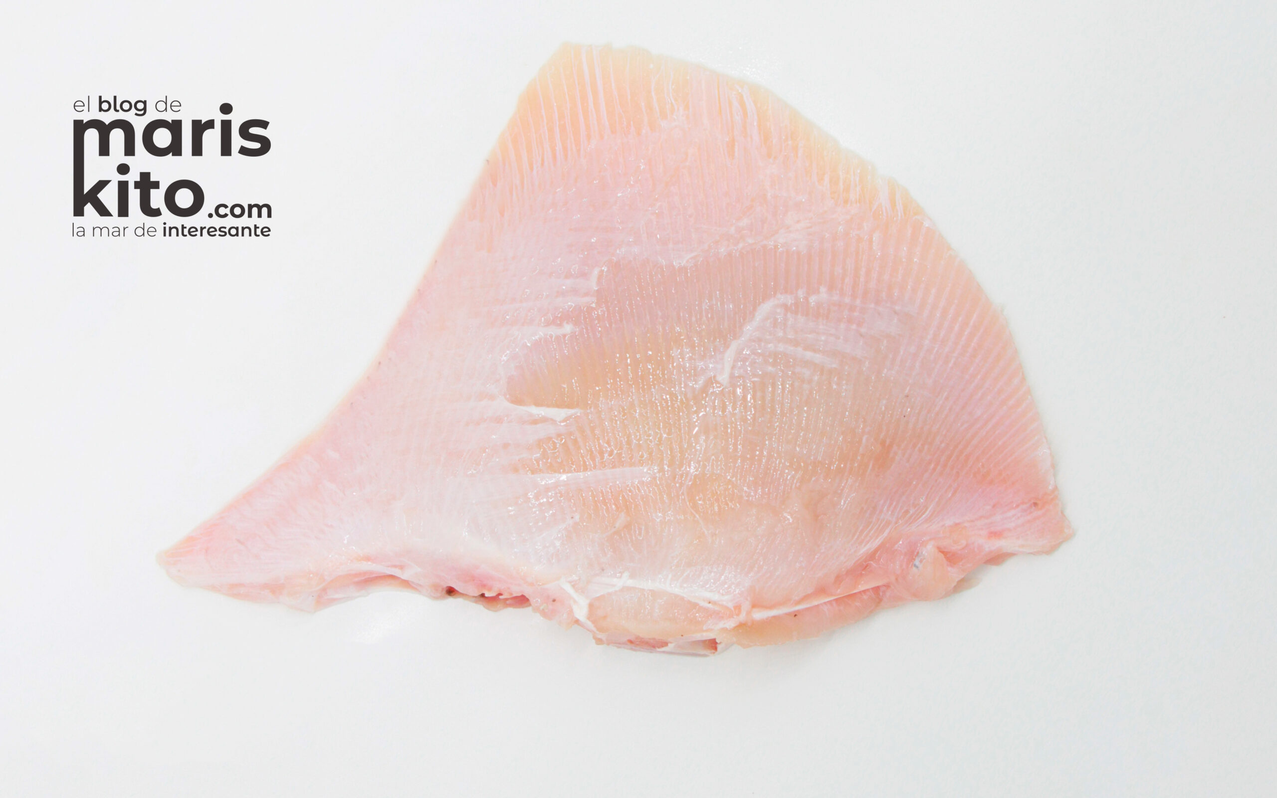 Raya, un sabroso pescado blanco que tienes que probar