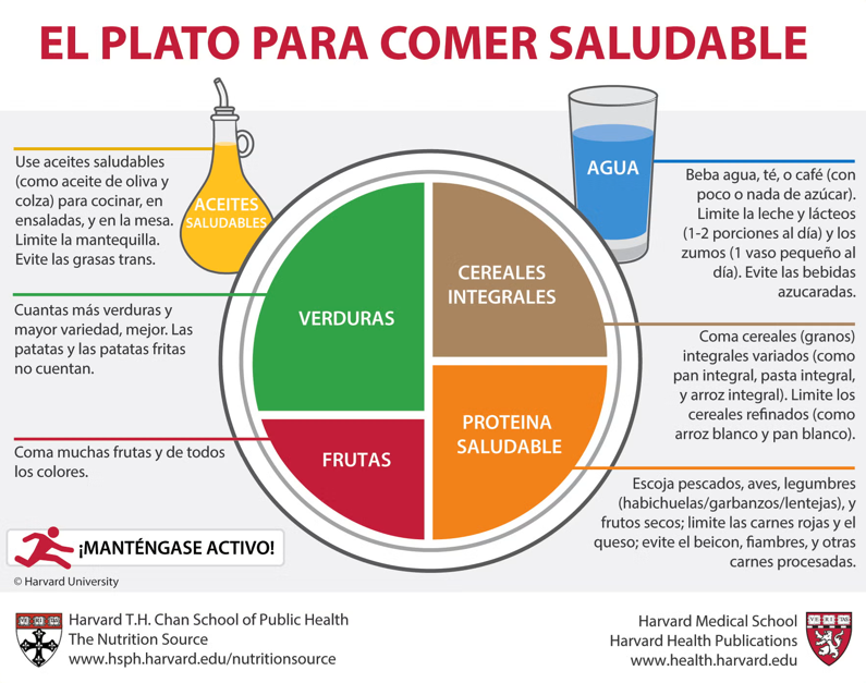 Método Harvard: el plato para comer saludable