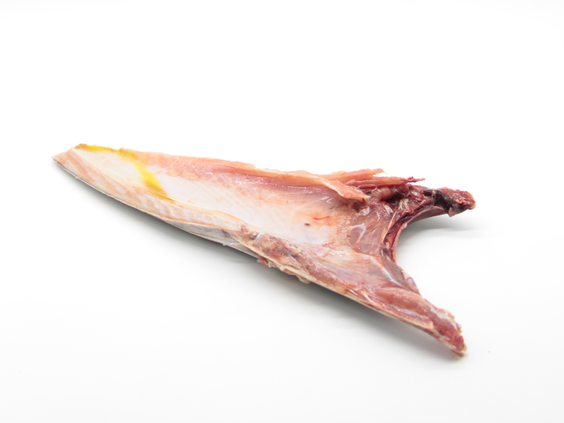 Ventresca de bonito del norte