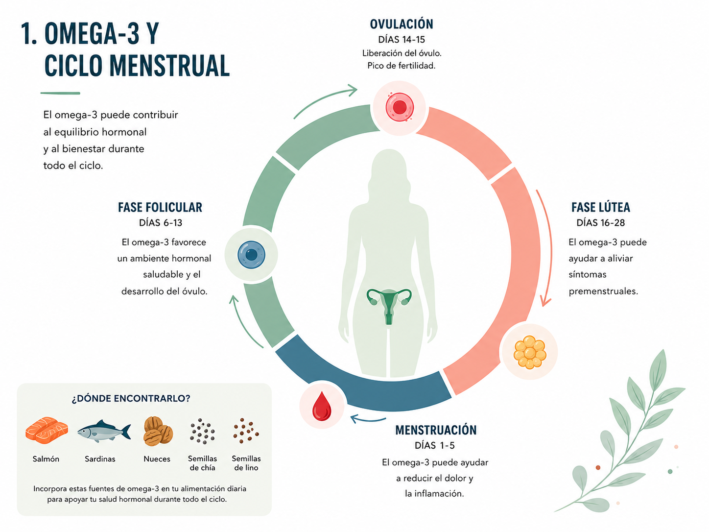 Omega-3 y ciclo menstrual