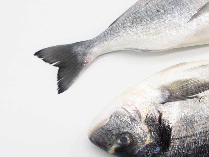 Dorada