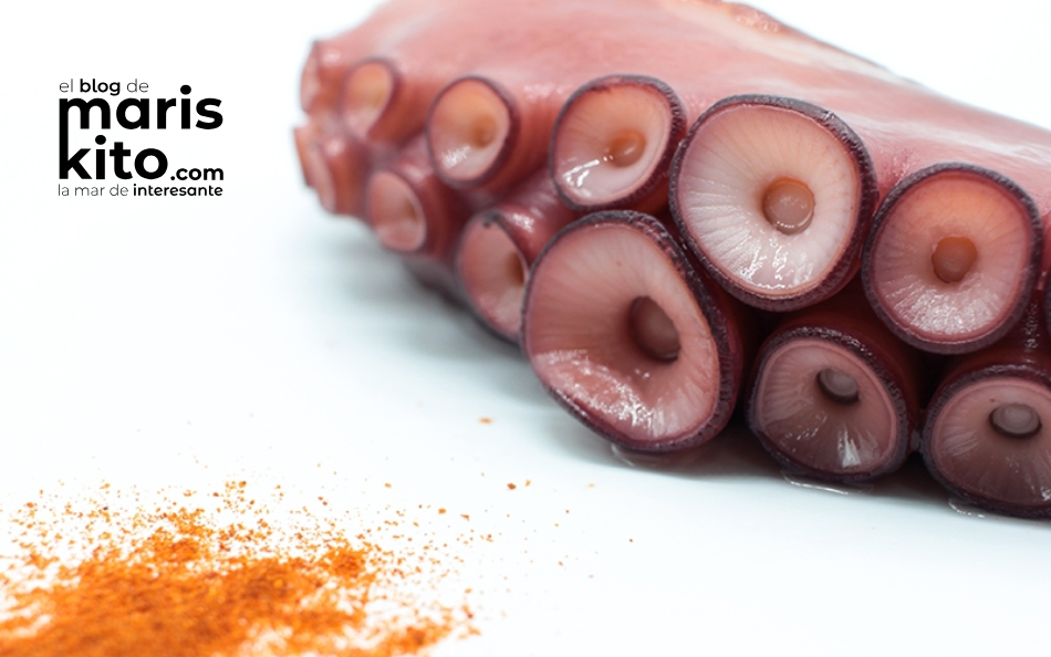 El pulpo: mucho más que un icono de la gastronomía gallega