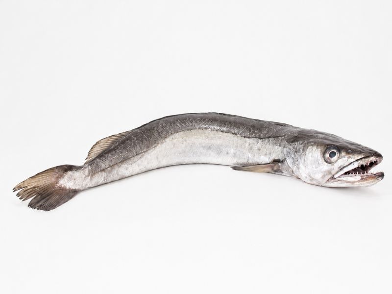 Merluza de Pincho