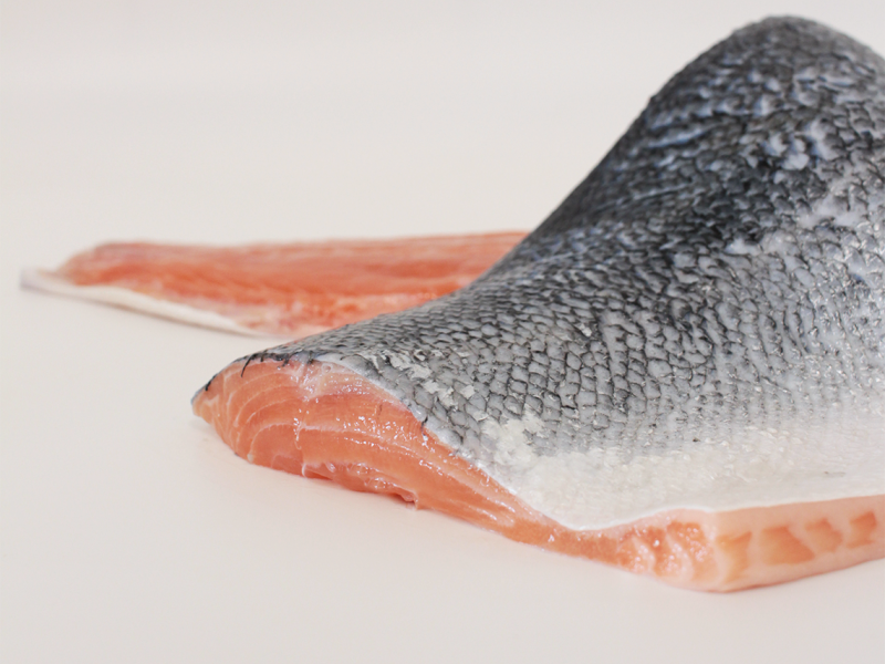 Salmón