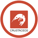 Crustaceans Crustaceans